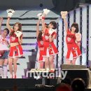 고양이 미용실 그냥 이미지