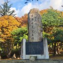 팔공산 단풍축제 25/11/02 이미지