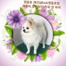 BOB영등포점 이미지