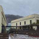 정중공원 화장실 | [대형베이커리카페]경기광주 신현리카페 분당카페 율동공원카페 트리맛집 제주베어하우스