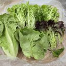 둘이농장 이미지