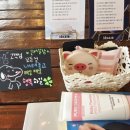 뉴센스미용실