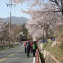 자은초등학교 이미지