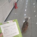 한유복동물병원 이미지