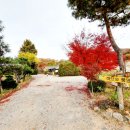 용설호수 농장 이미지