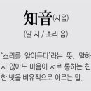 지음 이미지