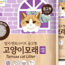 고양이똥 네이버블로그