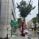 화진롯데 - 파주시 회동길 390 | 대전 용문동 타로 잘보는 곳 [화진타로] 방문 후기