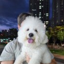 꾸미시개 이미지