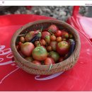 옥정농장 이미지