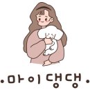 마이댕댕 이미지