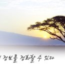 바른정보 이미지