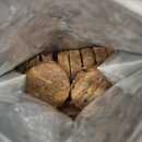 더리얼 | 강아지 동결건조사료 하림 더리얼로우 패티 내돈내산 급여 후기