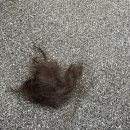 투 에이치 | 마곡 미용실 에이치엔알헤어 | 마곡역 미용실 여자 컷트 두피스케일링 추천