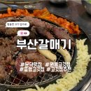 부산갈매기(원동점) 이미지