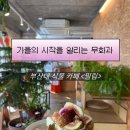 코지짐(330) | [부산대] 느낌이 너무 좋다~! 고양이가 있는 느좋 식물 카페 <밀림> (내돈내산 후기)