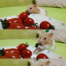 감성 피티 이미지