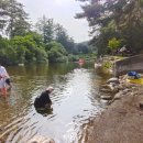 아트인아일랜드야영장 이미지