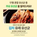 테디베어에프엔비 이미지