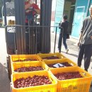 우송영농조합법인 이미지