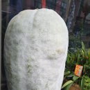 명암상회