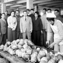 간지1985 이미지