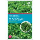 리피타