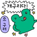 아쿠아리스모