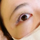 노원속눈썹 | 자연스러운 led 속눈썹 연장 후기, 석계 나나살롱