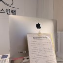 리본스킨 - 서구 | 리본스킨
