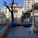 하단초등학교 이미지