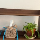 그란데로자 이미지