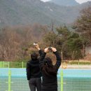 동강당구장 Daum카페