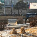 국립현대미술관 | 종로 데이트 추천 : 국립현대미술관 전시 후기