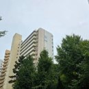 강남 개포주공7단지 투기꾼 논란, 노인들 분노 이미지