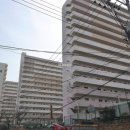 신세계아파트 이미지