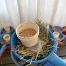 동지농장 | 용인가볼만한곳 헤븐온어스 체험농장 동물먹이주기 딸기체험