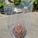 커피인류분당 - 성남시 분당구 정자일로 240 | [분당 맛집] 수내역카페 추천, 분위기 맛집 ‘커피인류 분당수내점’