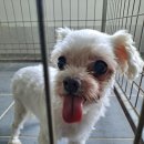 용앙주유소 이미지