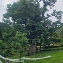 제1,035차(20기-51차/26.10.17) 영동 천태산 정기산행 및 제20주년 정기총회(기념품도 함께 신청 S 또는 XS) 이미지