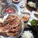 배봉도야지