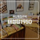 [부산빵집리뷰] 1950태성당_빵지순례 부산에 오면 꼭 들러야하는 빵집이 있다?!!!