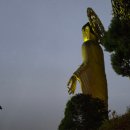 수원시 팔달구 행궁로26번길 이미지