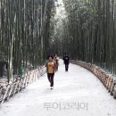 태화십리대숲먹거리단지 이미지