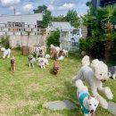 멈무아지트 이미지