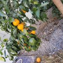 하례생태민박 이미지