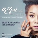 인순이 스페셜 콘서트 이미지