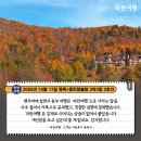 해피몽 | [가을맞이 캐나다 동부 여행]&#39;파란여행&#39;의 퀘벡+몽트랑블랑 2박3일 여행후기 2-2호차 (2025.10.17)