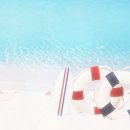 세인트폴리아 이미지