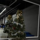 민앤마이노 유도&주짓수 | 지난 크리스마스의 민앤마이노!